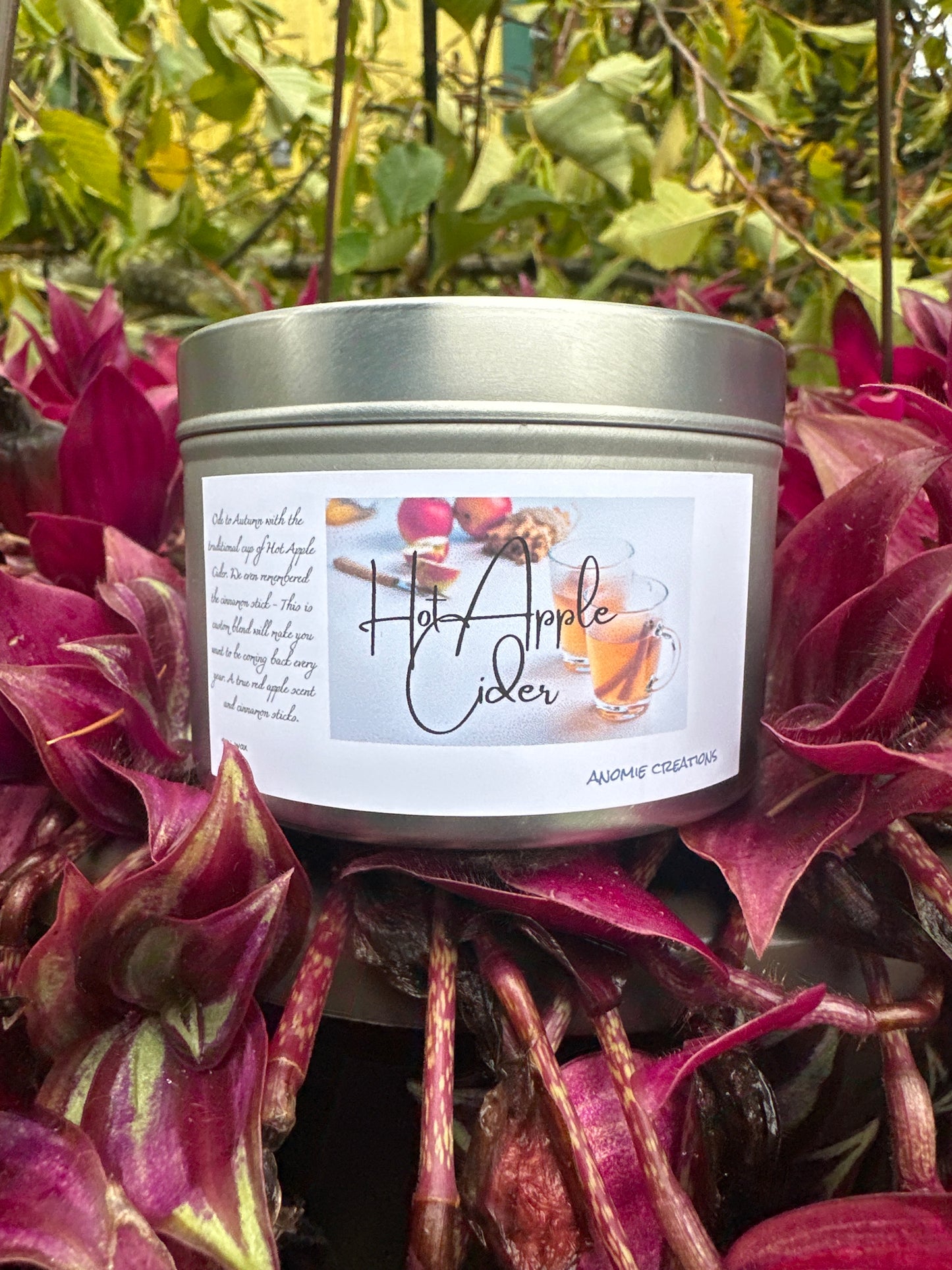 Hot Apple Cider